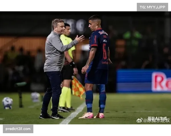 巴甲联赛下半程,多队换帅求变效果各异